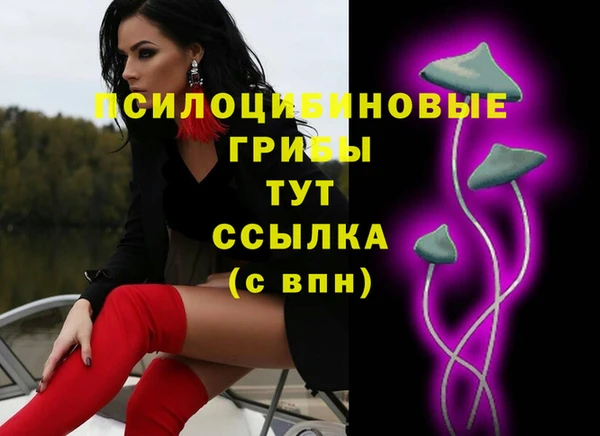 ПСИЛОЦИБИНОВЫЕ ГРИБЫ Алексеевка