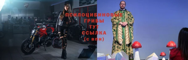 ПСИЛОЦИБИНОВЫЕ ГРИБЫ Алексеевка