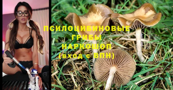гидра Алексин