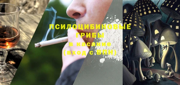 ПСИЛОЦИБИНОВЫЕ ГРИБЫ Алексеевка