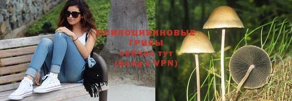 ПСИЛОЦИБИНОВЫЕ ГРИБЫ Алексеевка