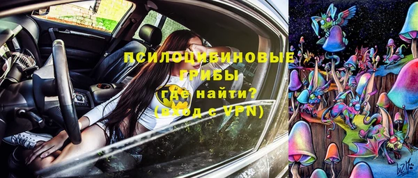 ПСИЛОЦИБИНОВЫЕ ГРИБЫ Алексеевка