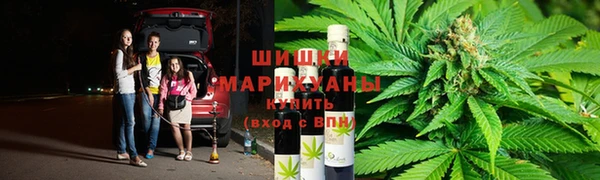 ПСИЛОЦИБИНОВЫЕ ГРИБЫ Алексеевка