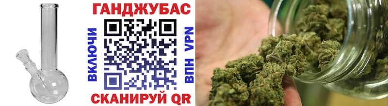 где купить наркоту  Ядрин  Шишки марихуана марихуана 